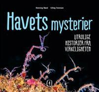 Last ned Havets mysterier 4 - Henning Røed Last ned Forfatter: Henning Røed ISBN: 9788293191445 Antall sider: 48 Format: PDF Filstørrelse:32.