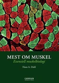 Last ned Mest om muskel - Hans A. Dahl Last ned Forfatter: Hans A. Dahl ISBN: 9788202257576 Antall sider: 240 Format: PDF Filstørrelse:20.