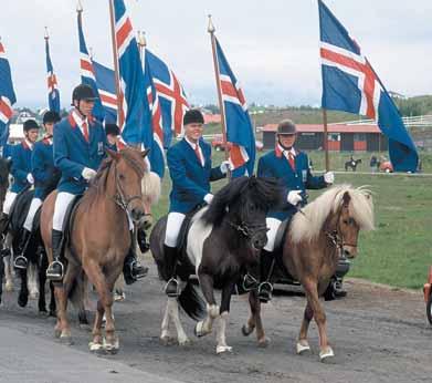 keppnisreglurnar FIPO. Þær keppnisreglur gilda á mótum íslenska hestsins erlendis en hér á landi hafa gilt aðrar reglur.