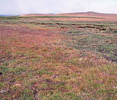 Þetta eru annars vegar svæðið frá Skagafirði, vestur um og til Borgarfjarðarsýslu og hins vegar Norður Þingeyjarsýsla og Múlasýslur.