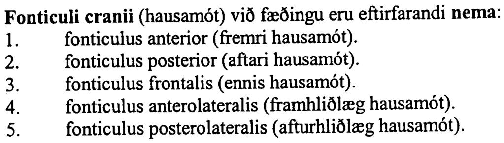 B. 29.11.2000 -inngangur Ia:knan. +tannl. 11 Cavitas uteri hverfur a me6gongu me6 samvexti: 1. chorion frondosum og decidua basalis. 2. decidua capsularis og decidua parietalis. 3.