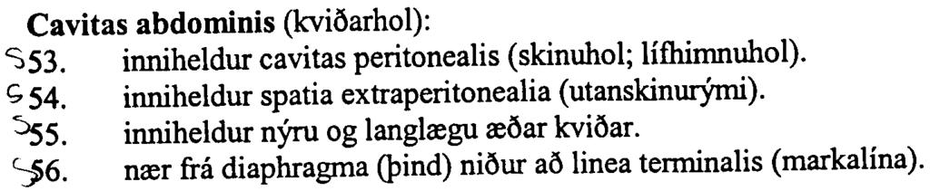 Cavitas abdominis (kvi6arhol): ~53. inniheldur cavitas peritonealis (skinuhol; lifhirnnuhol). <; 54. inniheldur spatia extraperitonealia (utanskinur)'ini). ~5. inniheldur nyru og langlregu re6ar kvi6ar.