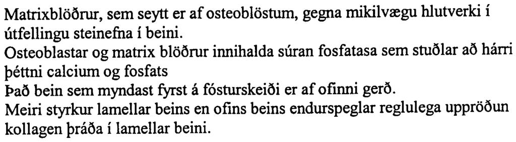 Osteoblastar, osteocytar og osteoc1astar ern afmesodermal uppruna. 108. Osteoclastar seyta m.a. osteocalcin og sialoprotein.