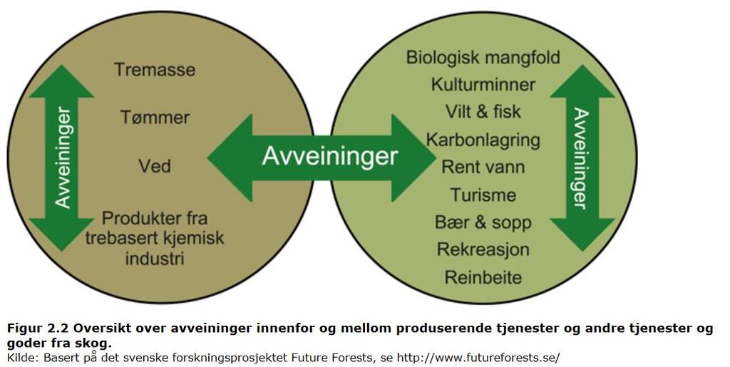 Hvordan bruke produksjonen fra skogen?