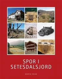 Last ned Spor i Setesdalsjord Last ned ISBN: 9788283160116 Antall sider: 159 Format: PDF Filstørrelse: 11.93 Mb Skjulte skatter og ny kunnskap om forhistorien i Setesdal.