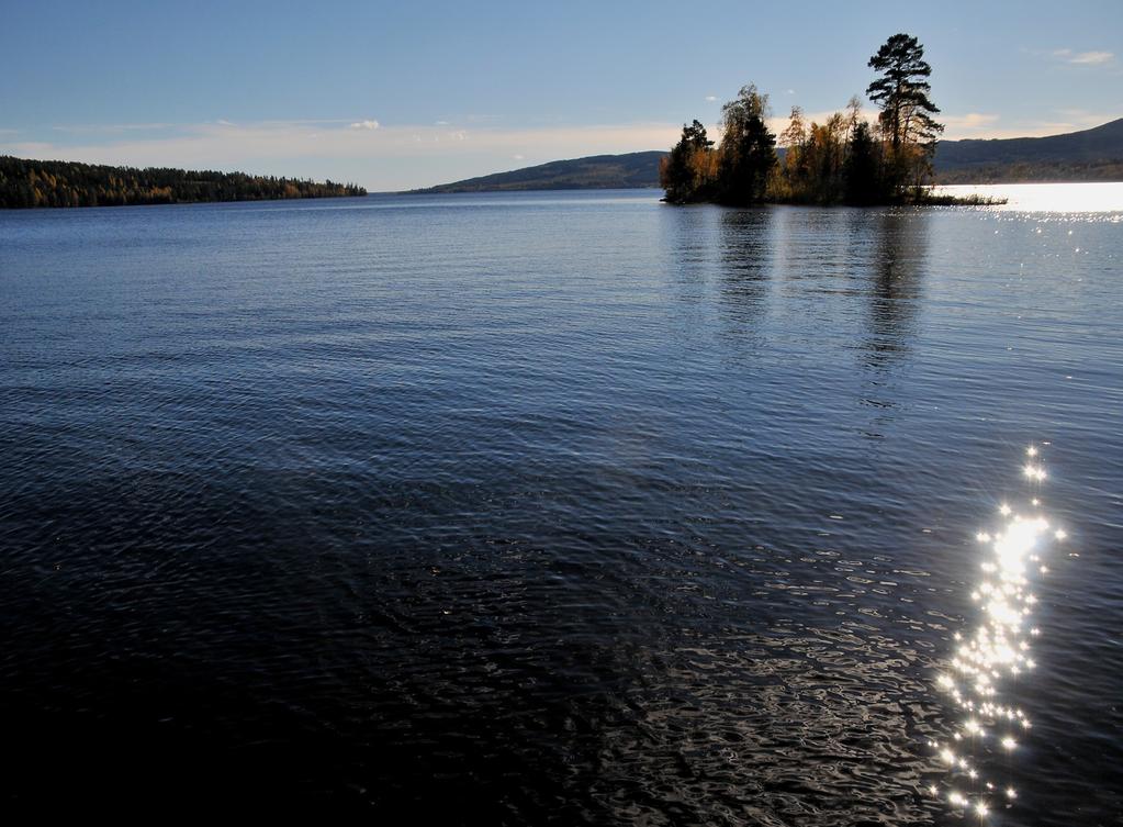 Takk for oppmerksomheten! Ta gjerne kontakt også senere! www.huvo.no for mer info om VO Hurdalsvassdraget/Vorma www.vannportalen.