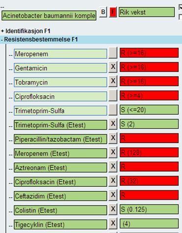 Påvisning av ESBL CARBA