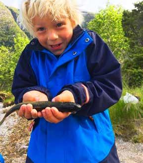 com 2 september Kom-deg-ut-dagen: Holmen friområde, Dimmelsvik Vi legg til rette for blant anna grilling, fisking, natursti, slakk line og padling i