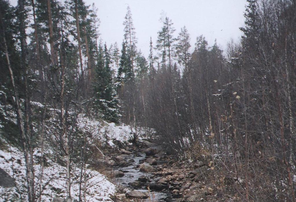 NIVA 4897-2004 Grøna ved Tryslielva Grøna R i Grøndalen Figur 3. Bilder fra elvestasjonene.