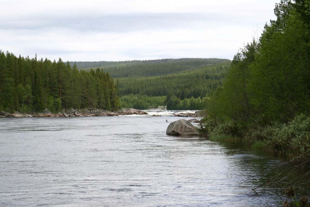 9 Rendalsoverføringen medførte en betydelig reduksjon i vannføringen i Glomma nedstrøms Høyegga (42 % i snitt per år) og en stor økning i vannføringen i Renaelva (274 % økning i snitt per år ved