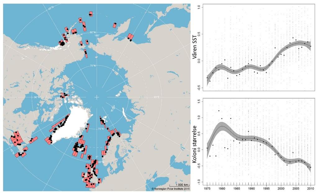 Brå klimaskift påvirker fuglene mest Global oppvarming blir ofte sett på som en lineær prosess med jevn og gradvis oppvarming over tid, men dette er ofte ikke tilfellet.