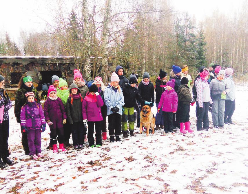 Minul õnnestus näha ürituse ettevalmistavat tööd ning seda kui töömahukas selline korraldamine võib olla. Kõik sujus hästi ja seda tänu Playfair-i hästi organiseeritud tiimitööle.