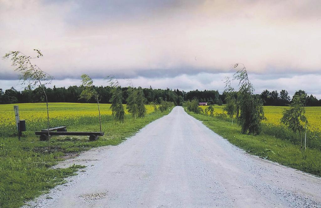 rahvatantsuhuviliste ühendamine. Põhikiri kinnitati 1997. aasta 24. oktoobril. Tantsurühm tegeles aktiivselt kohalikus elus kaasalöömisega juba enne seltsi moodustamist.