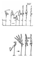 flugæfingar frá efri rá í handstöðu á neðri rá D dómarar Ef handstöðu lokið innan 10 Gefa DV >10 Gefa 1 DV lægra E dómarar >10-30 >30-45 >45 Hringæfingar með snúningum í handstöðu og sveiflur með