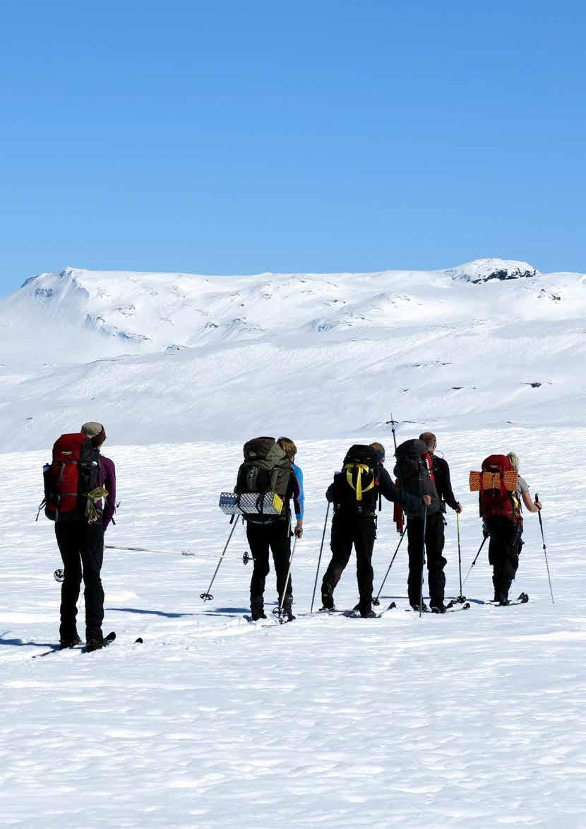 VÅRSKITUR VÅRSKITUR Vi var 13 spreke skiløpere i forskjellig aldre som møttes ved Løyningsvatnet på Seljestad første lørdagen i mai.