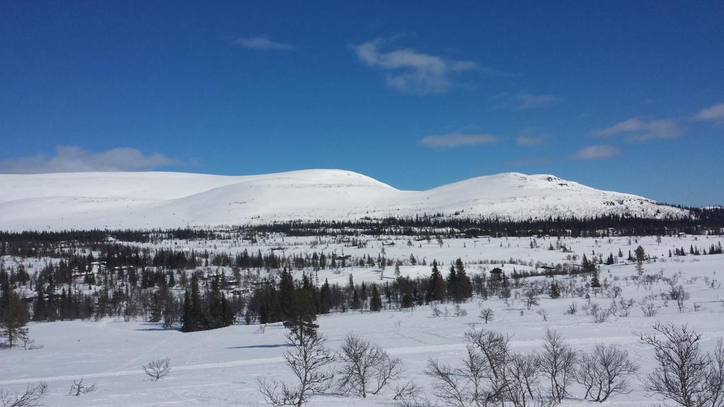 Fjellverden C/O