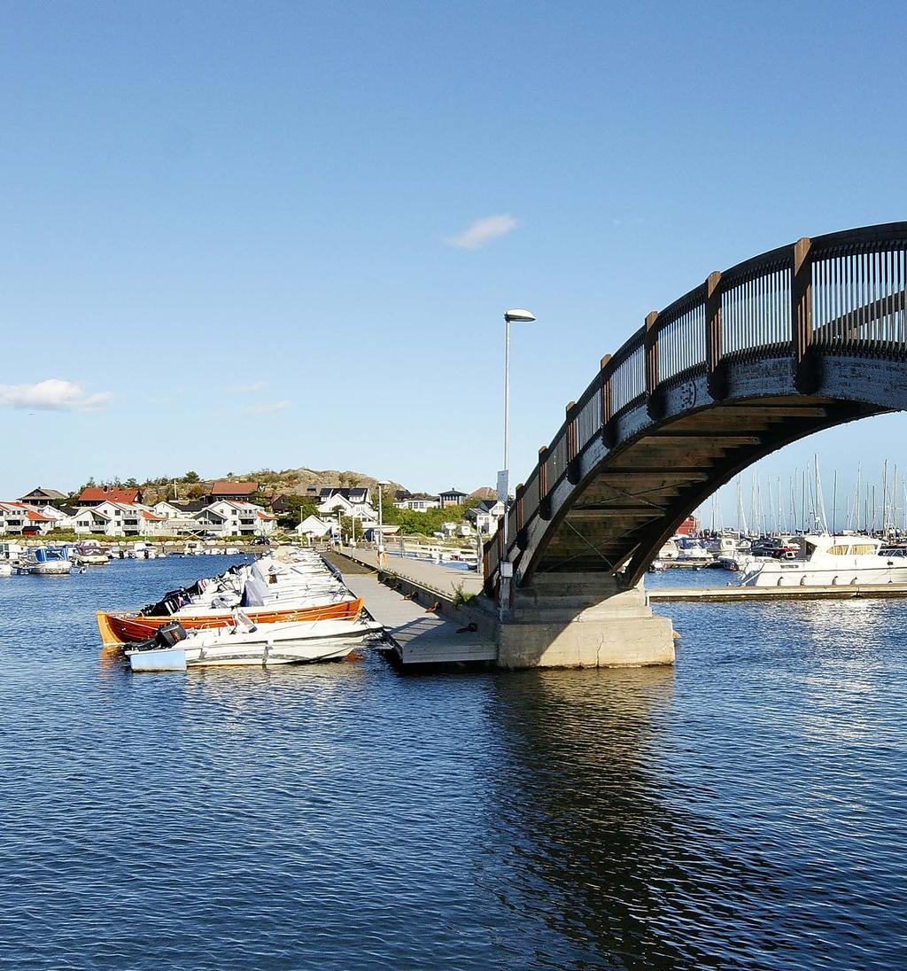 Lytt til hvite sommerfuglers vingeslag: Denne dag kan bli vår beste dag.