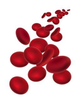 Hemoglobin Myoglobin O 2 lager ved aktivitet Cellulær