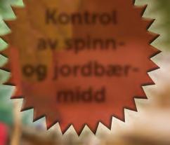 Sprøyteteknikk Opplysningene er hentet fra: Grundbog for sprøjteførere. 00 DK. Virkemåte: Kontakt og gjennom munn. Translaminær. Lite temperaturfølsom.