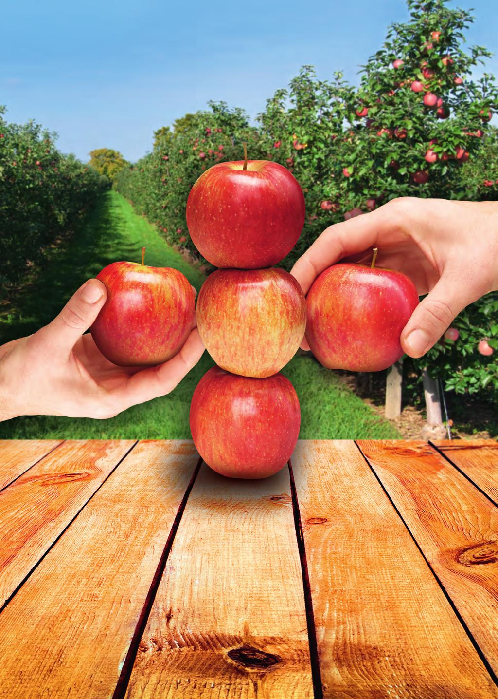 Regalis Plus Vekstregulering i eple og pære