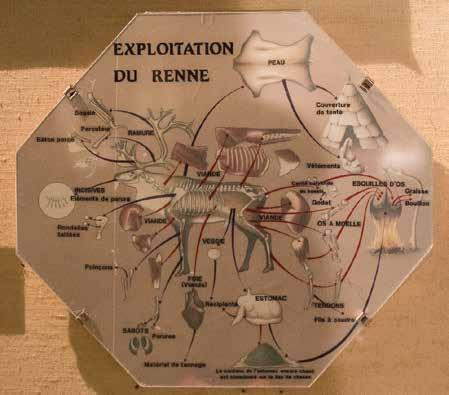 Slik viser museet Abri Pataud korleis det prehistoriske mennesket utnytta reinen.