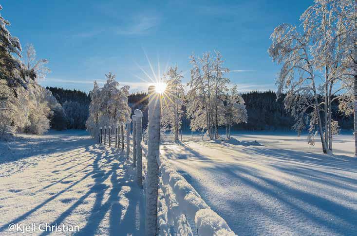 Returadresse: Hægeland Frikirke Hægelandssletta 75 4720 Hægeland Jesaja 41,10: Vær ikke redd, for jeg er med deg. Se deg ikke rådvill omkring, for jeg er din Gud!