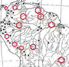 Denne er meget dra.macisk for bladene: fra sma til score, fra hele cil flik:ece, fra korce bladsrilker ti! )ange, fi:a scilkfesce ved basis av bladplaren ti1 fesce nesten pa midcen av platen, osv.