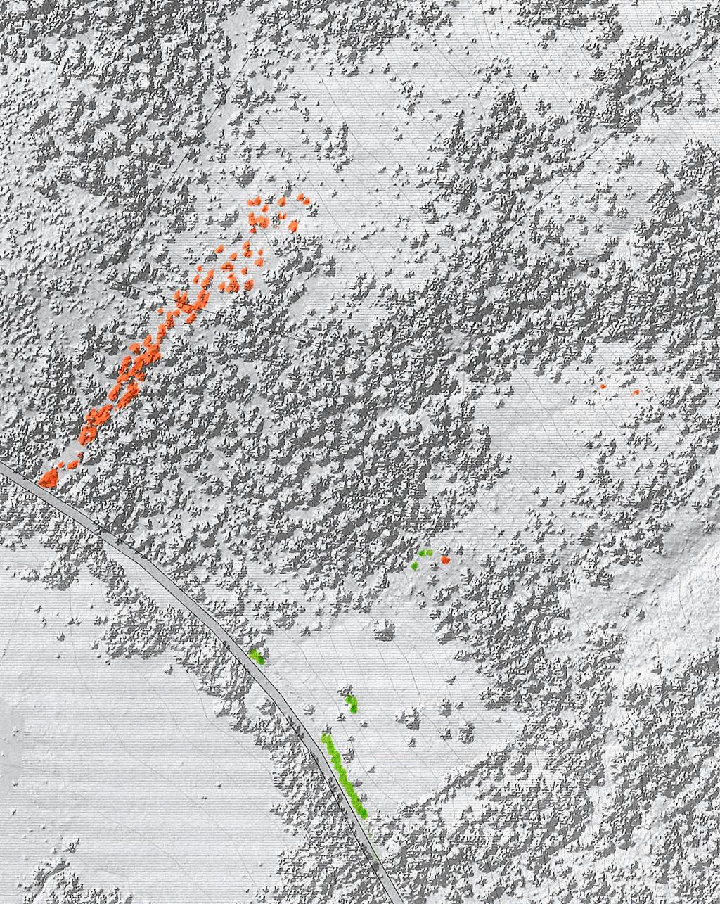 Figur 2. Endringer på Heisjan fra 2012 til 2016. Trær/busker som er borte (oransje) eller har kommet til (grønt) i 2016 er markert. LiDAR-bilde fra hoydedata.no. 3.