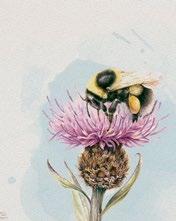 landbruk og relaterte økosystem. På CBDs partsmøte i 2017 vart det etablert ei gruppe for arbeid med pollinatorar; Coalition of the willing of pollinators.