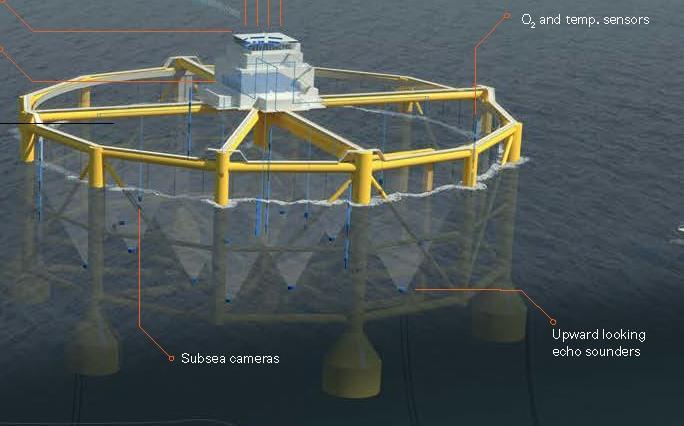 Damages to net, size distribution, growth, welfare 16 Oxygen Growth, welfare, feed indigestion, appetite, death rate 16 Temperature Appetite, fish welfare 2 ADCP Water current outside cage.