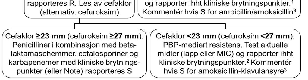 Haemophilus influenzae ALGORITME FOR PÅVISNING AV BETALAKTAMRESISTENS NordicAST v. 6.