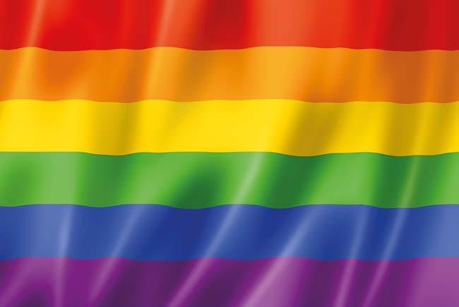 ع ل م قوس قزح )والذي يسمى أيضا علم البرايد )Prideflaggan وهو رمز لحركة )HBTQ( االجتماعية للمثليات والمثليين ومزدوجي الميول الجنسية والمتحولين جنسيا وأحرار الجنس.