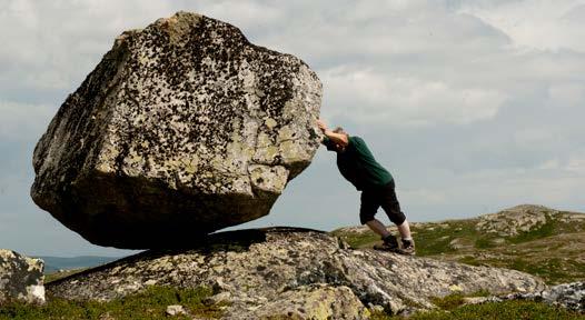 Geologisk naturarv Stor flyttblokk fra siste istid. Hardangervidda.