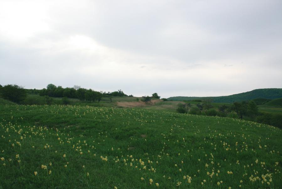 Târnava Mare Trasee Turistice Parcurgeți distanța ntregului traseu sau selectați anumite secțiuni. Bucurați vă de o experiență cu adevărat memorabilă n zona Târnava Mare din sud-estul Transilvaniei.