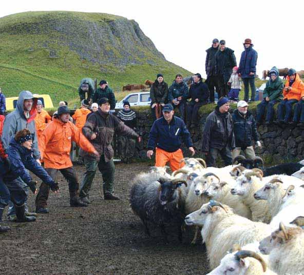 Á Hvanneyri tók Ágúst Sigurðsson, rektor, á móti FT fólki og kynnti þeim starfsemi skólans og framtíðaráætlanir.