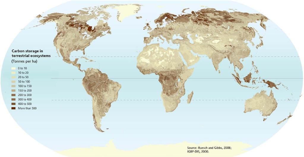 Store karbonlagre i vegetasjon og jord i