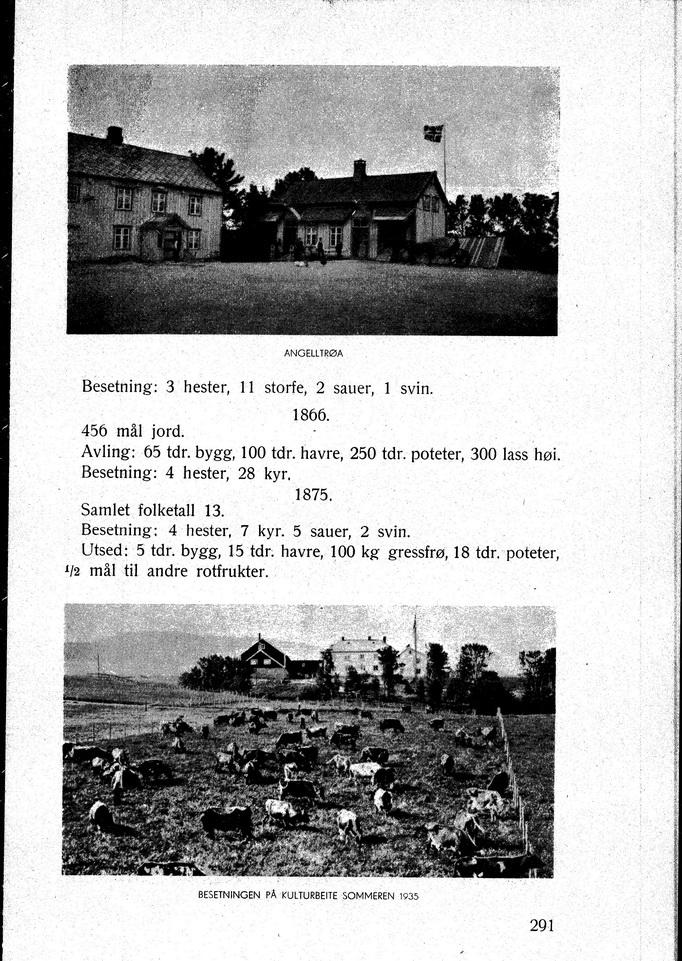 ... rfll'_ Besetning: 3 hester storfe 2 sauer l SVin. 1866. 456 ml jord. Avling: 65 td r. bygg 100 td r. havre 250 tdr. poteter 300 lass hoi. Besetning: 4 hester 28 kyr. 1875.