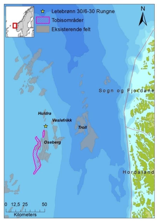 1 INTRODUKSJON DNV GL har på oppdrag fra Faroe Petroleum vurdert mulige effekter på tobis på Vikingbanken, i Nordsjøen, ved en utblåsning fra letebrønnen Rungne, lokalisert nord/nordøst for de