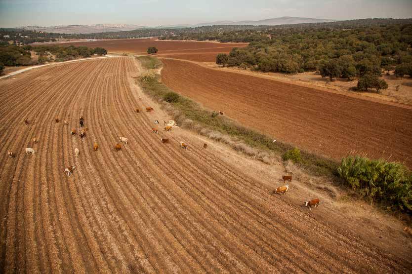 מקדמים תרבות של דיאלוג ופתיחות בנק הפועלים רואה בעובדיו שותפים מלאים התורמים לתהליכים העסקיים והארגוניים.