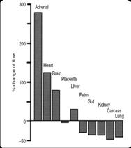 Hypoxia fight or flight Hypoksi fight or flight mechanisms which create the hemodynamic response of the fetus to hypoxia