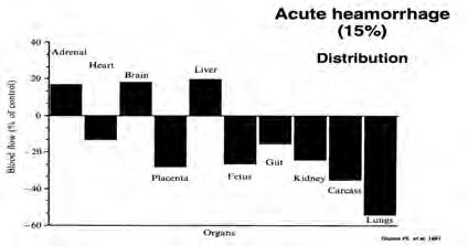 Fetal adaptive responses to asphyxia. Clin Perinatol 1989;16(3):595e611. Can the heart spare?