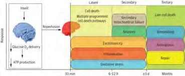 doi:10.1001/jamapediatrics.2014.