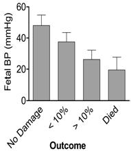 The relationship between hypotension and neuronal damage Foster has a good strategy for hypoxia The severity of