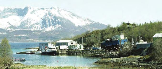 24 Söfnun og meðhöndlun spilliefna í litlum slippum á Norðurlöndum Slippurinn gæti þjónustað skemmtibáta en þó eru takmörk fyrir því hve marga báta væri hægt að taka á land því þar er aðeins eitt