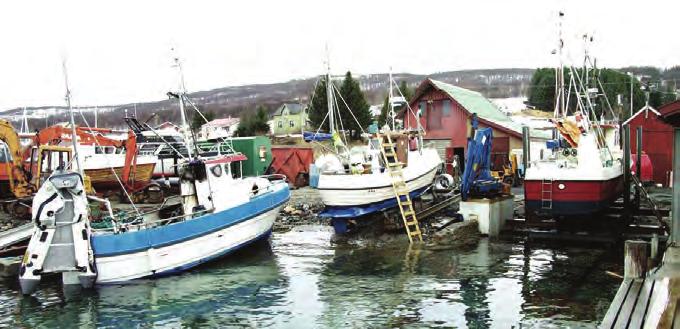 Söfnun og meðhöndlun spilliefna í litlum slippum á Norðurlöndum 31