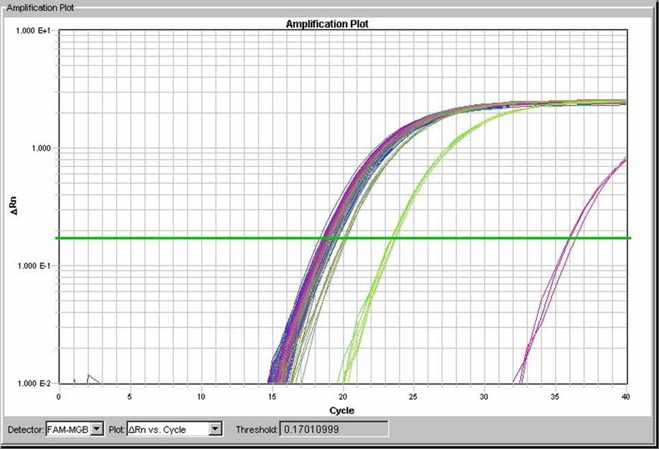 Amplification Plot for β-actin Randomers, Oligo(dT),