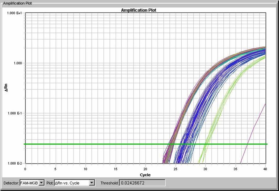 Amplification Plot for GUS No Primer Randomers GUS,