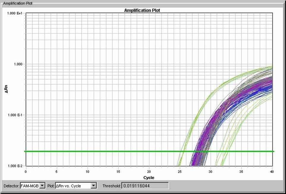 Amplification Plot for TBP TBP Randomers,