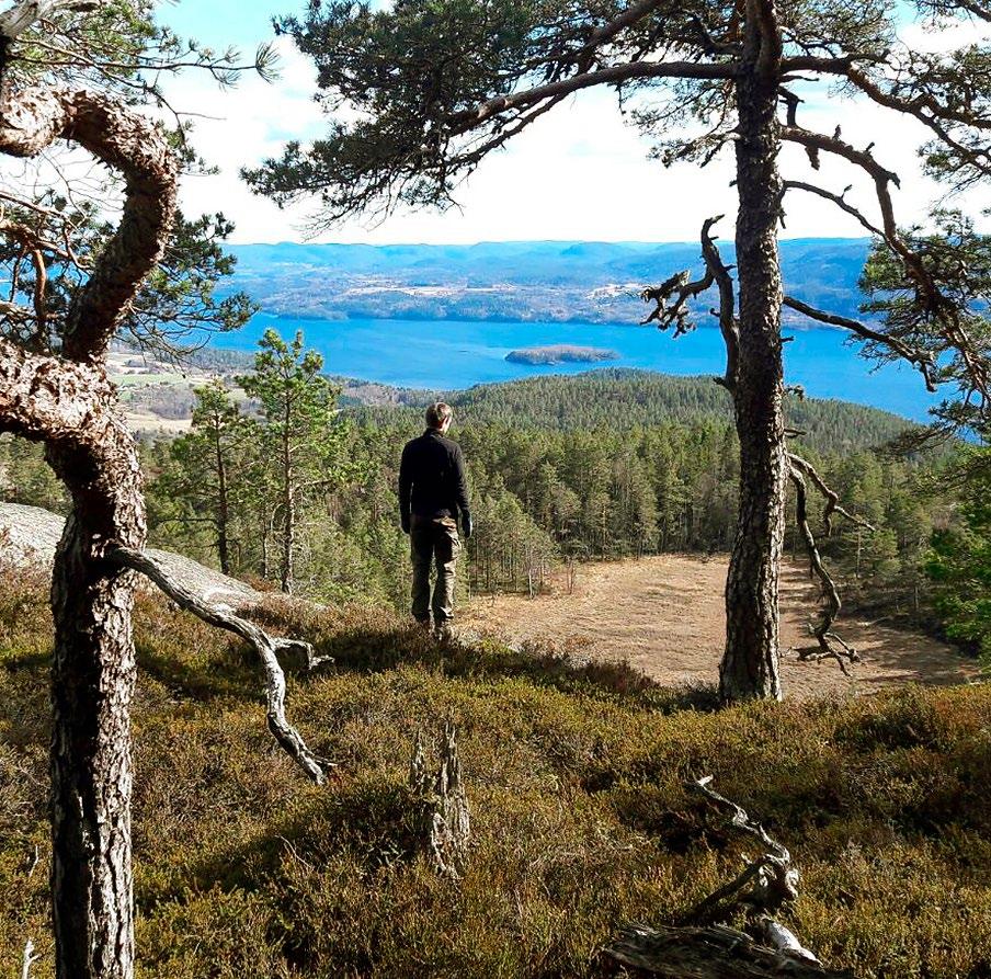 Det er oppgitt kontaktinformasjon for hver tur, og nettadresser på bakerste side. Endringer kan forekomme, så det kan være lurt å ta kontakt før turen.