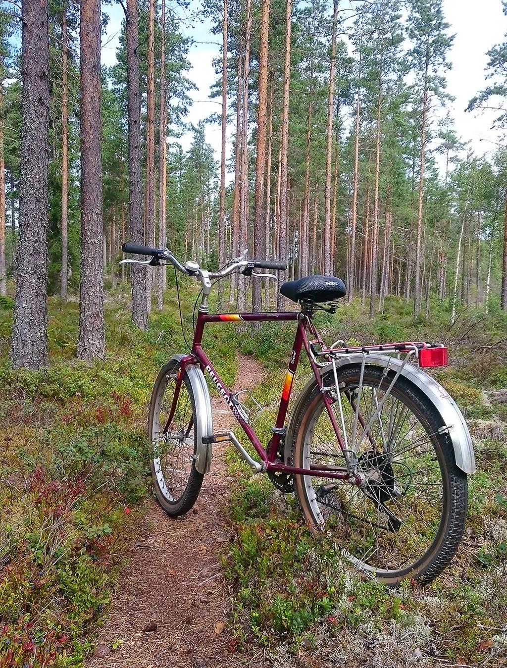 21 Tirsdag 25 Åpent tårn, Børsesjø Trekkfuglene er i farta og fugletårnet er en ypperlig plass å få med seg disse. Vi bemanner tårnet, og det vil være teleskop på plass. Enkel servering.